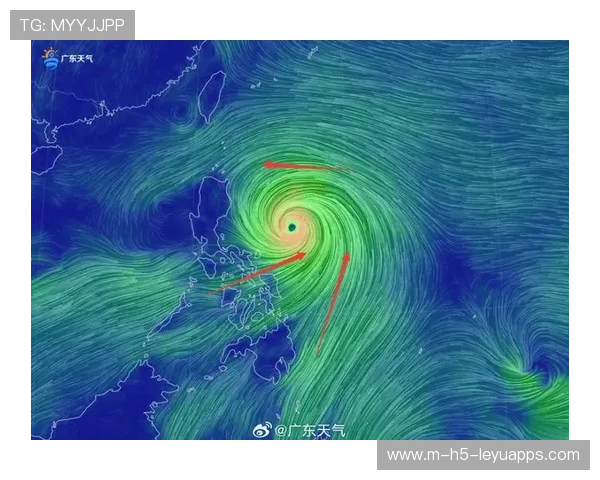 台风后惠州海滩生态复苏，海鲜大丰收，惠州台风预警