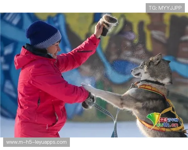 雪橇锦标:俄罗斯队稳居金牌榜,冲击纪录在望!,俄罗斯拉雪橇的狗叫什么 雪橇锦标:俄罗斯队稳居金牌榜,冲击纪录在望!,俄罗斯拉雪橇的狗叫什么